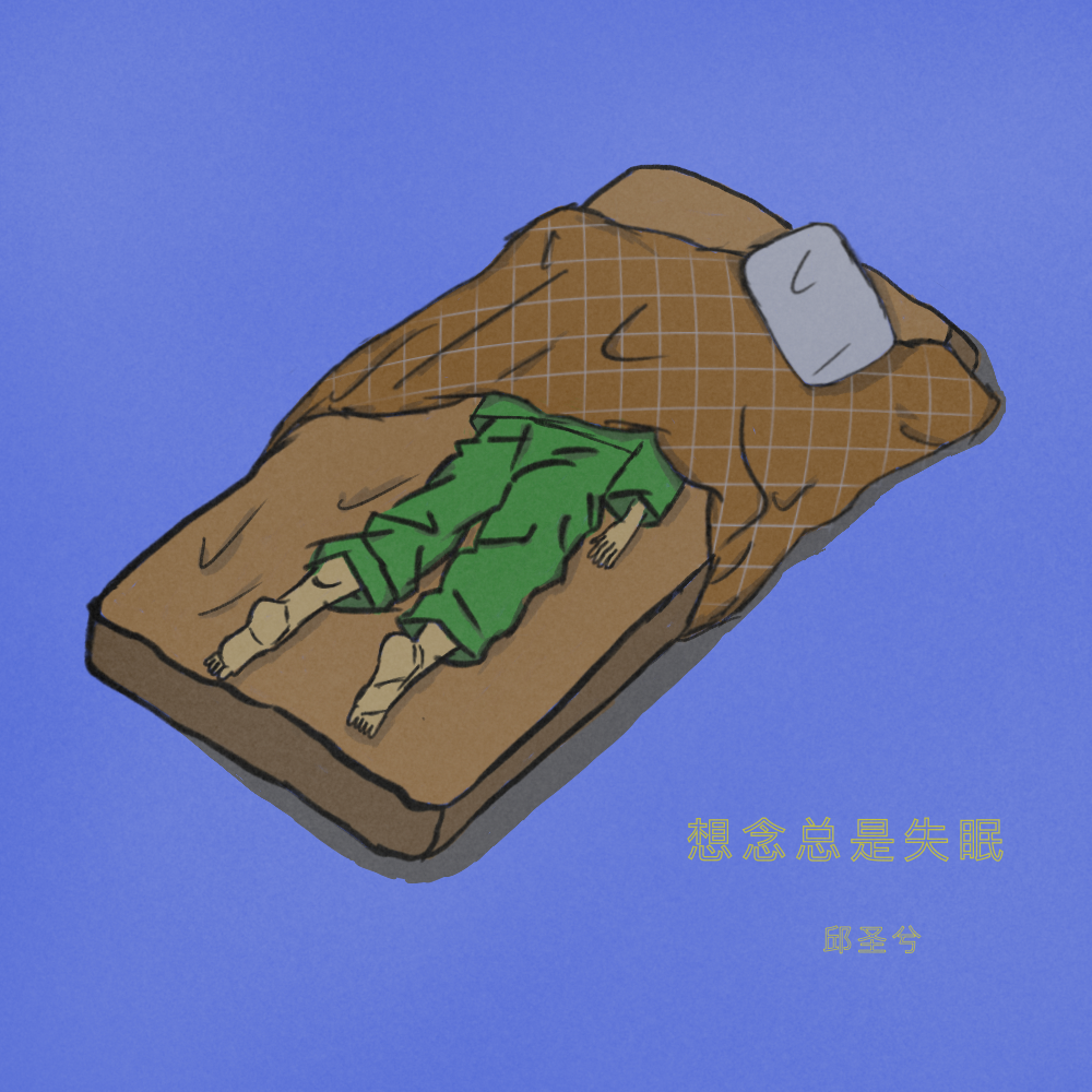 想念总是失眠专辑