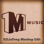 DJLinFeng Mashup Edit专辑