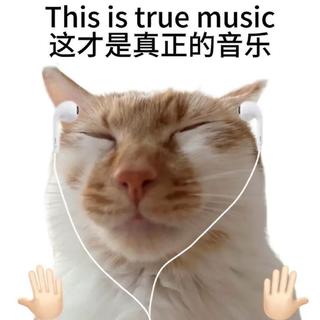 世界上能打动我的除了R&B/还 有R&B