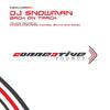 DJ Snowman - Back On Track (Original Mix)
