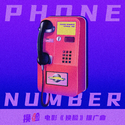 Phone Number