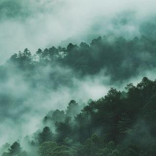 悠寂意境 | 雾雨蒙蒙 山中绿野 心向往之