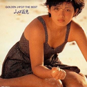 GOLDEN J-POP - THE BEST Disc 2专辑