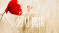 별이(別離)专辑