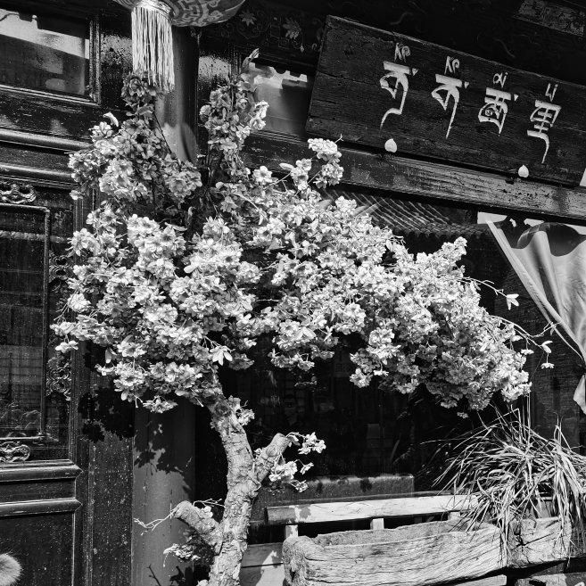民谣:藏着你我