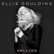 The Ending (Halcyon Special Edition Bonus Track)