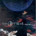 Gackt Live Tour 2002 Kagen no Tsuki ~Seiya no Shirabe~专辑