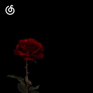 低保真精选|从《Fruitless Rain》听起