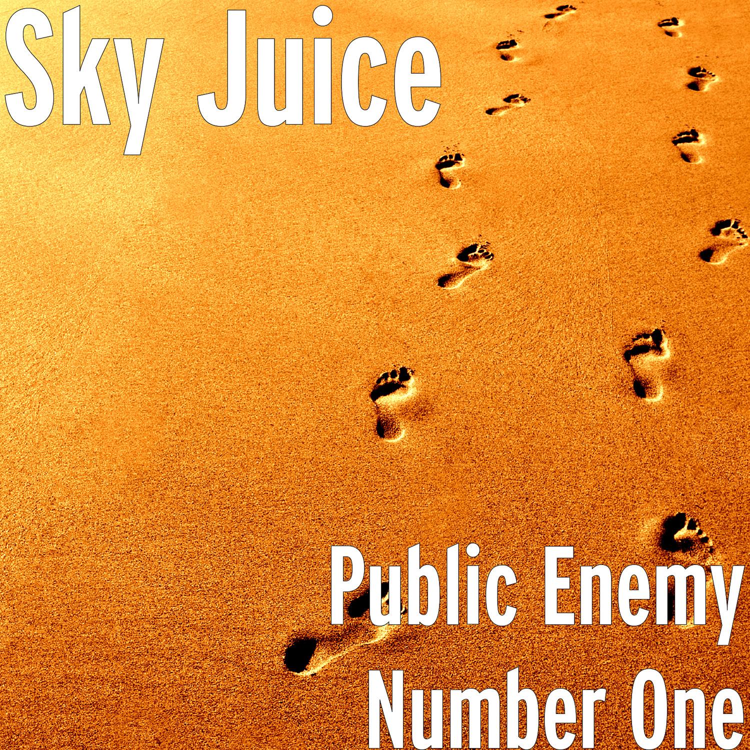 Public Enemy Number One