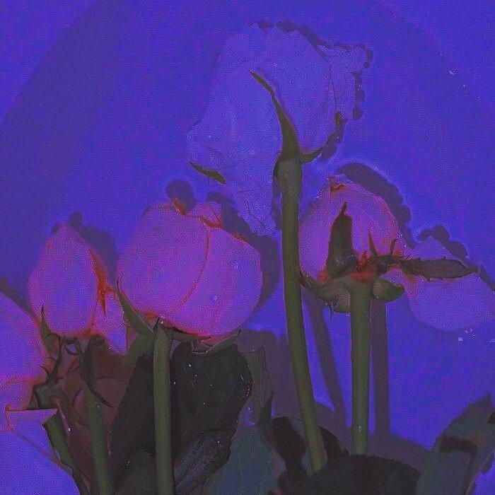 蒸汽波 | 梦 境 制 造 机