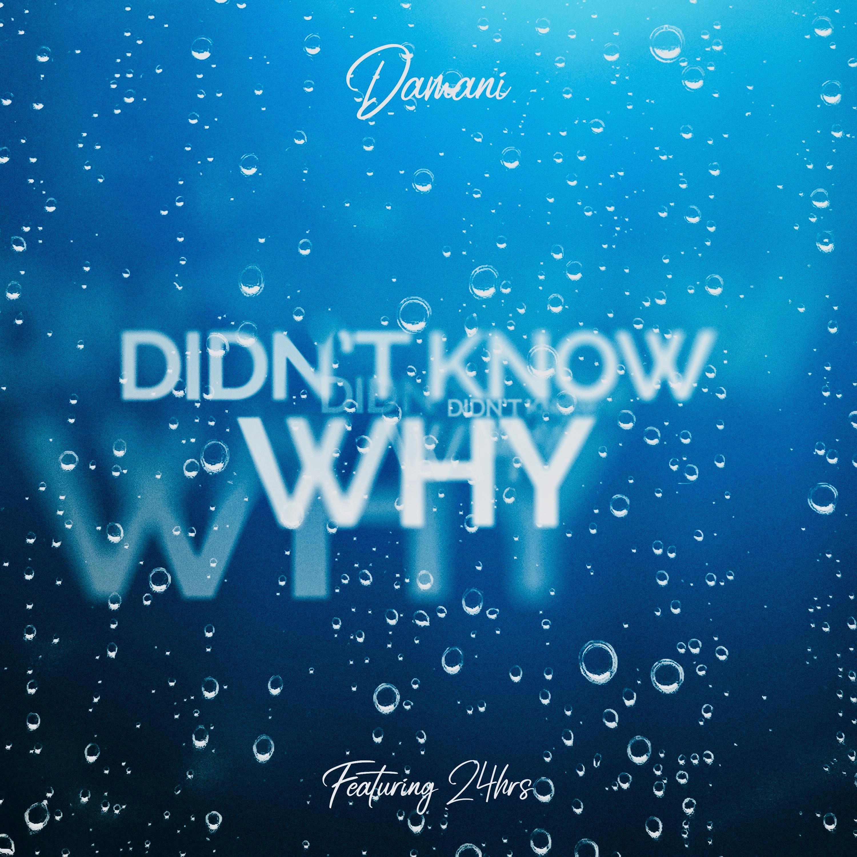 Didn't Know Why (feat. 24hrs)