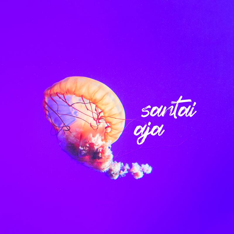 Santai Aja