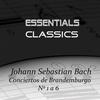 Brandenburg Concerto No. 3 In G, BWV 1048: II. Adagio