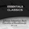 Bach: Conciertos de Brandenburgo No. 1 a 6专辑