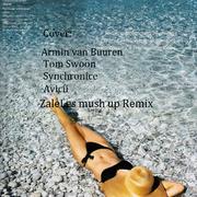 Armin van Buuren,Tom Swoon,Synchronice,Avicii2017