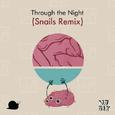 Through The Night (Snails Remix)