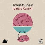 Through The Night (Snails Remix)专辑