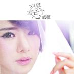 专辑《如果爱忘了》