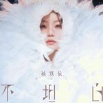 不坦白专辑
