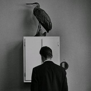 「摇滚简史」复古青年专用指南