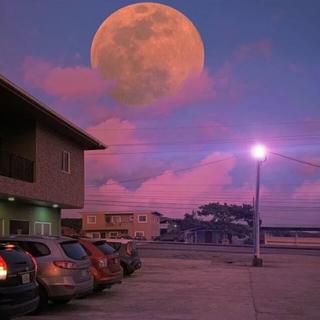 写数学作业必备歌单即使厌倦也一定坚持写.