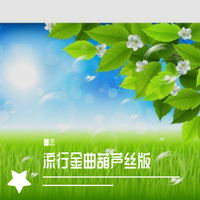 乌苏里船歌-葫芦丝
