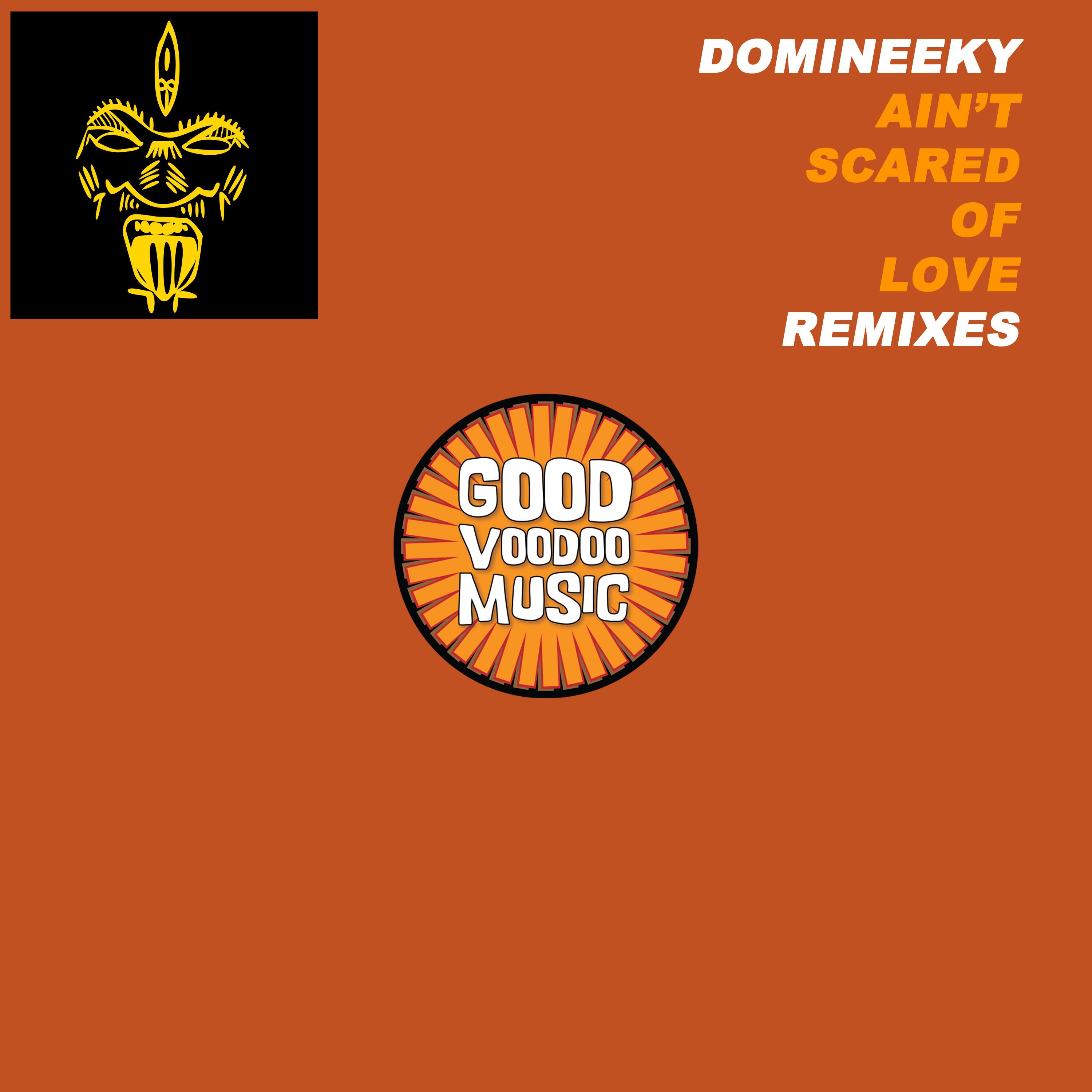 Ain't Scared Of Love Remixes