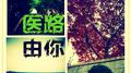 医路由你专辑