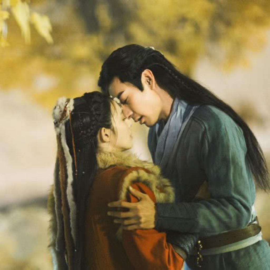 九公主的小狐狸