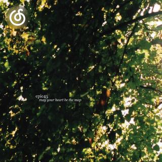 迷幻流行精选|从《Winterbirds》听起