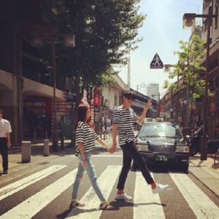 樱花绽放的春天lovelove小心心