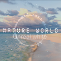 Natural World专辑