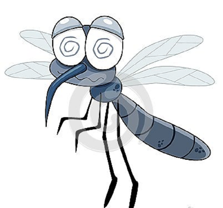 Mozzie