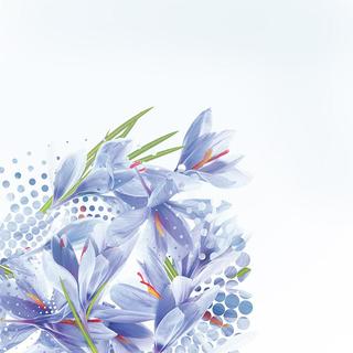 【SOS晚安舒缓】 歌单