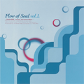 Flow of Soul vol.1 -TAKURO meets Vanessa-Mae-