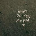 What do you mean？专辑