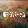 野花姑娘（prod by 房间里的大象）