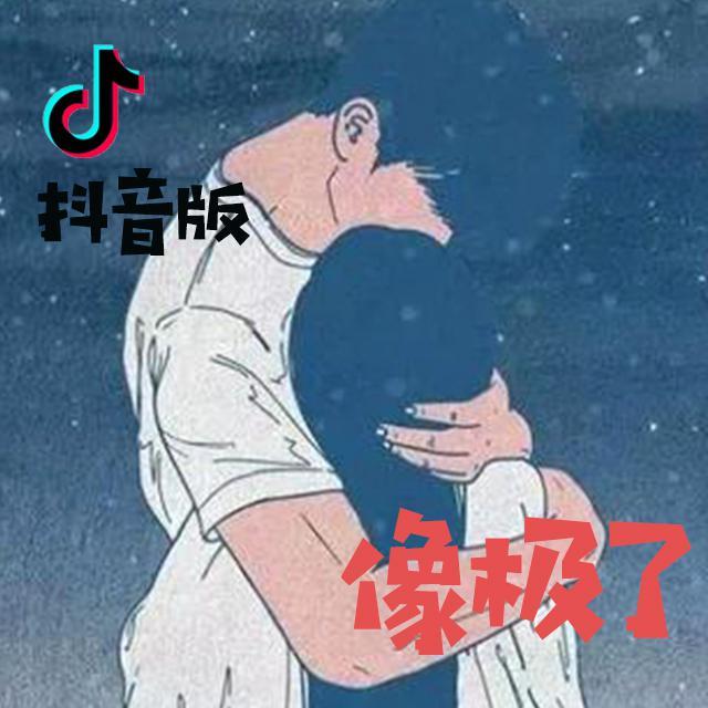 像极了（抖音版）