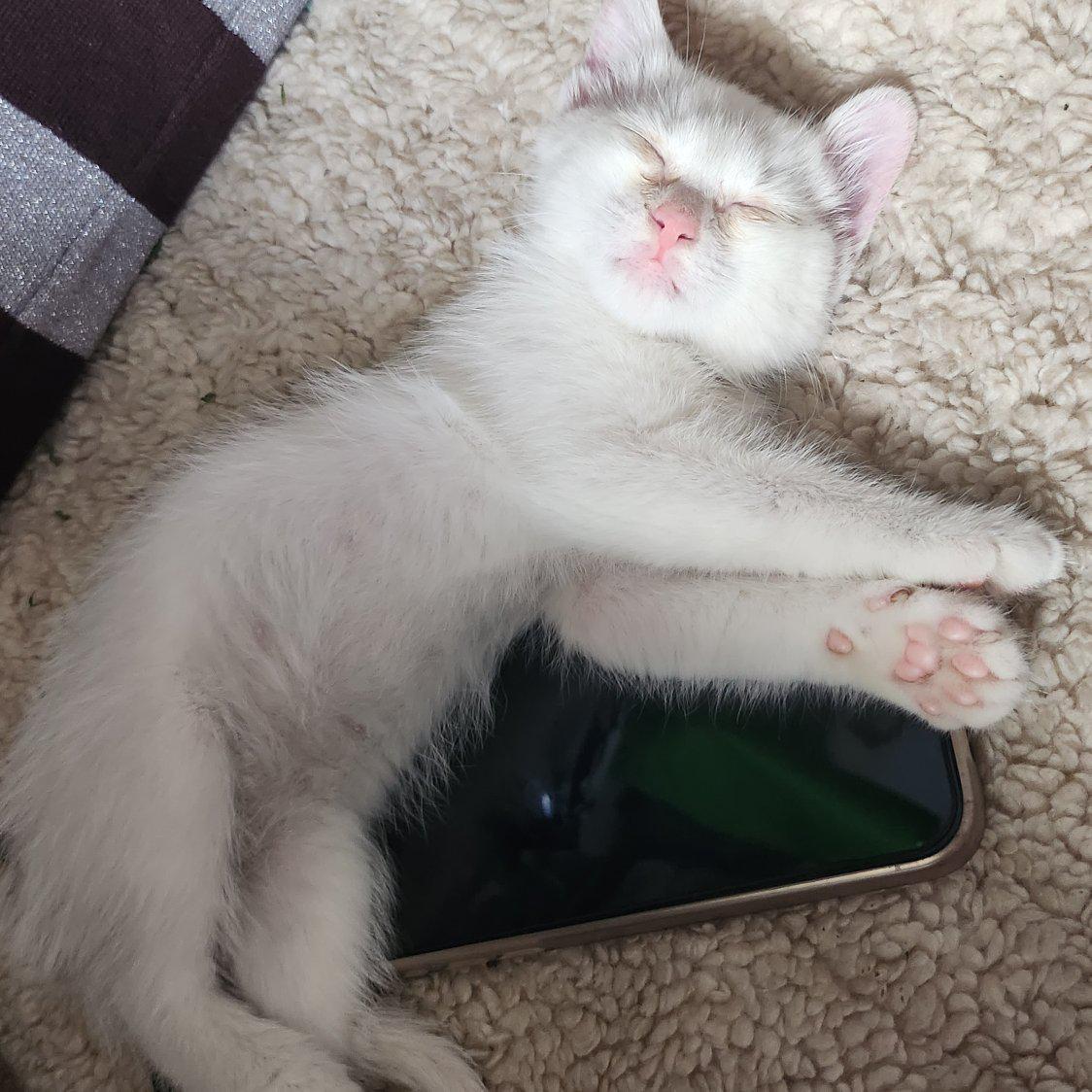 原来你也会流眼泪 | 在线播放 | 网易云音乐