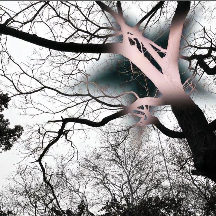 We Don't Talk Anymore(氛围版)