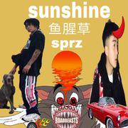 Sunshine (Prod.BROCCOLI)