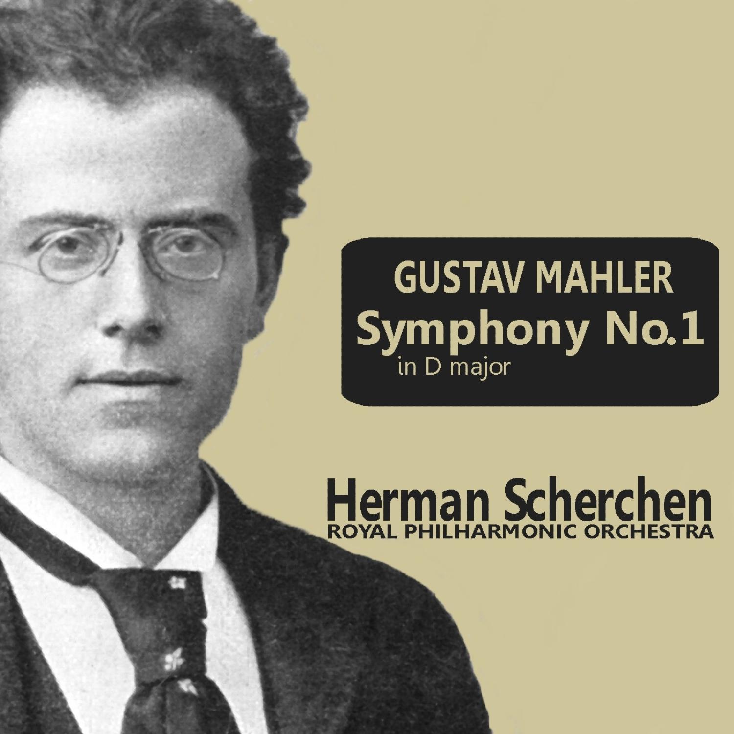 Symphony No. 1 in D Major: IV. Sturmisch bewegt
