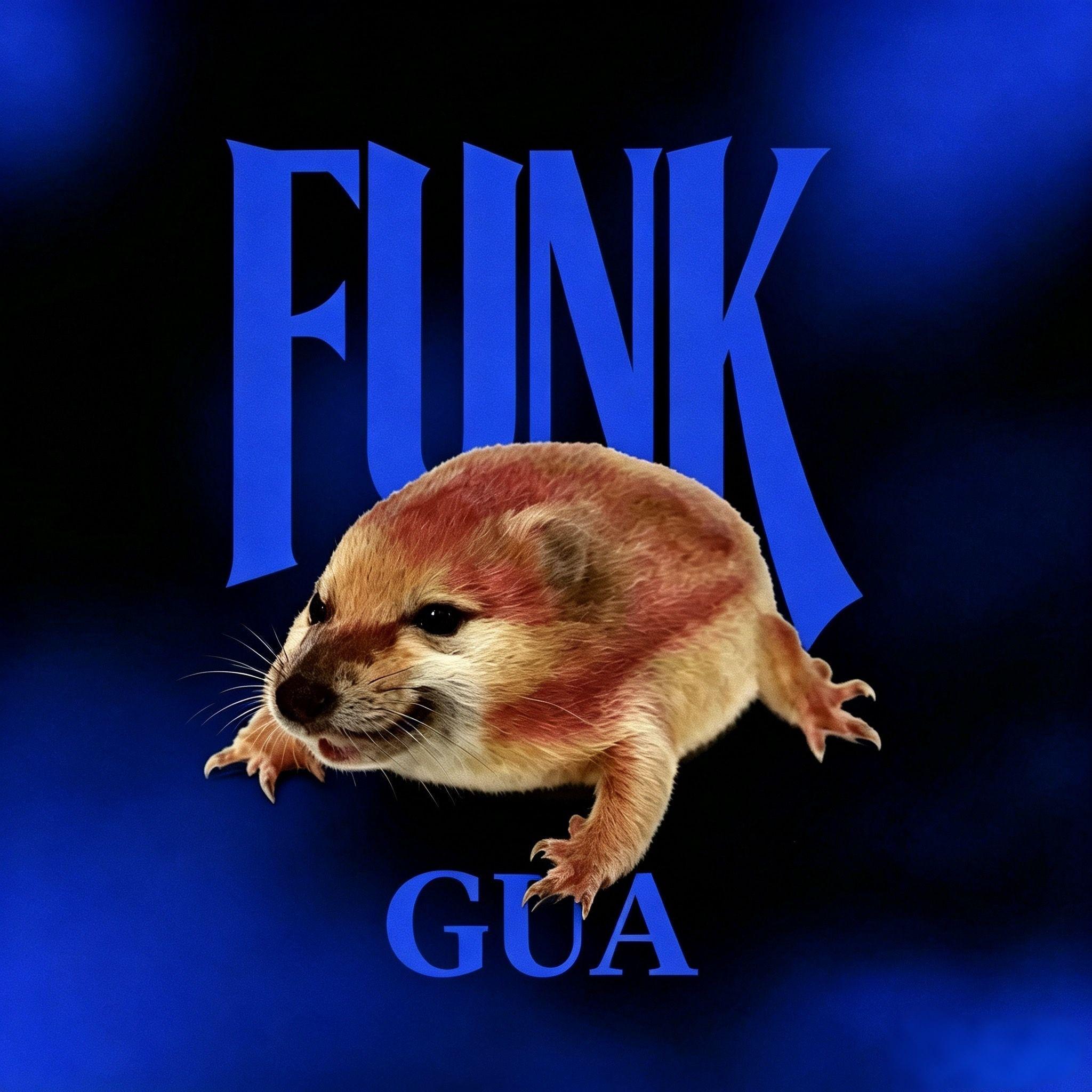 呱 呱 呱 （Funk）