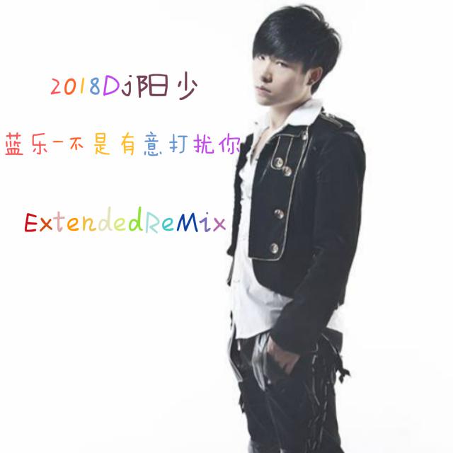 蓝乐-不是有意打扰你(2018Dj阳少ExtendedReMix)专辑