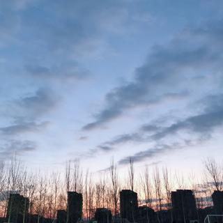 不赶什么浪潮 也不搭什么船-