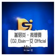 盖君炎 - 我想要(DJ.Eivin一文 Official Mix)