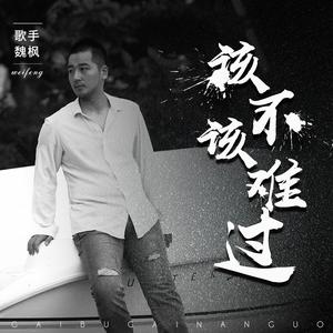 魏枫 - 该不该难过