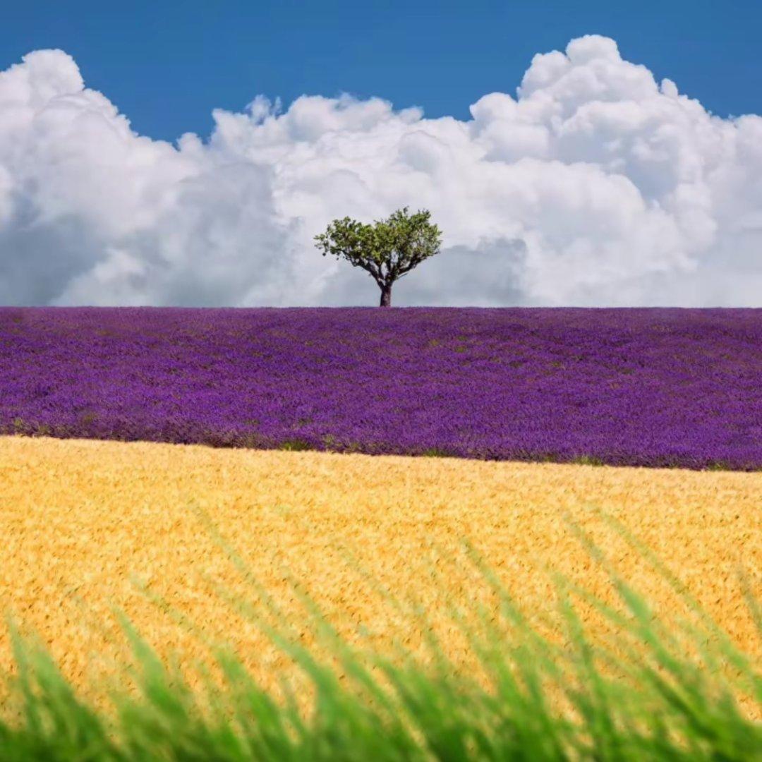  For You 