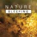 Sleeping Nature – Healing Music for Relaxation, Stress Relief, Sounds of Water, Singing Birds, Natur