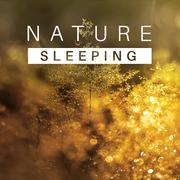 Sleeping Nature – Healing Music for Relaxation, Stress Relief, Sounds of Water, Singing Birds, Natur